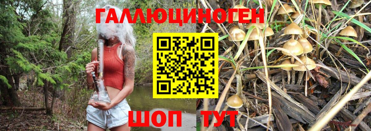 Галлюциногенные грибы Cubensis  Псилоцибиновые грибы Magic Shrooms  наркотики  Вход с VPN  Знаменск 